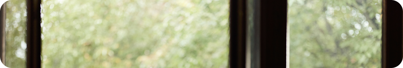 Cuentas anuales consolidadas